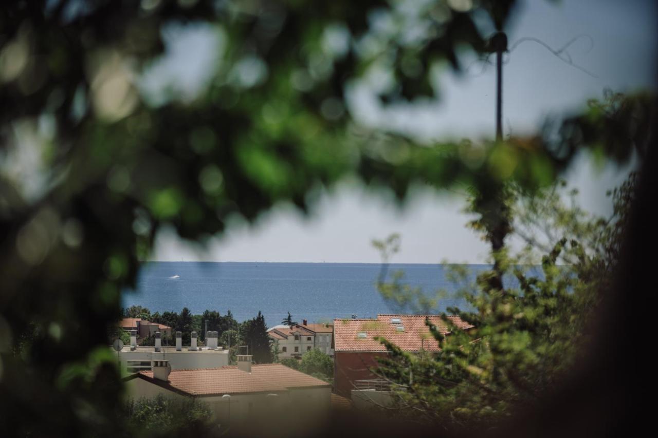 Belvedere Holidays Novigrad  Exterior photo